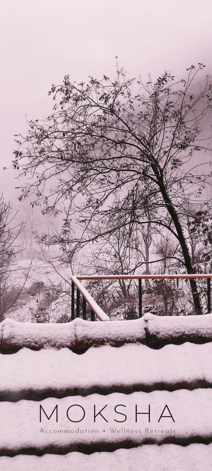Moksha Slovenia Tolmin Kültér fotó